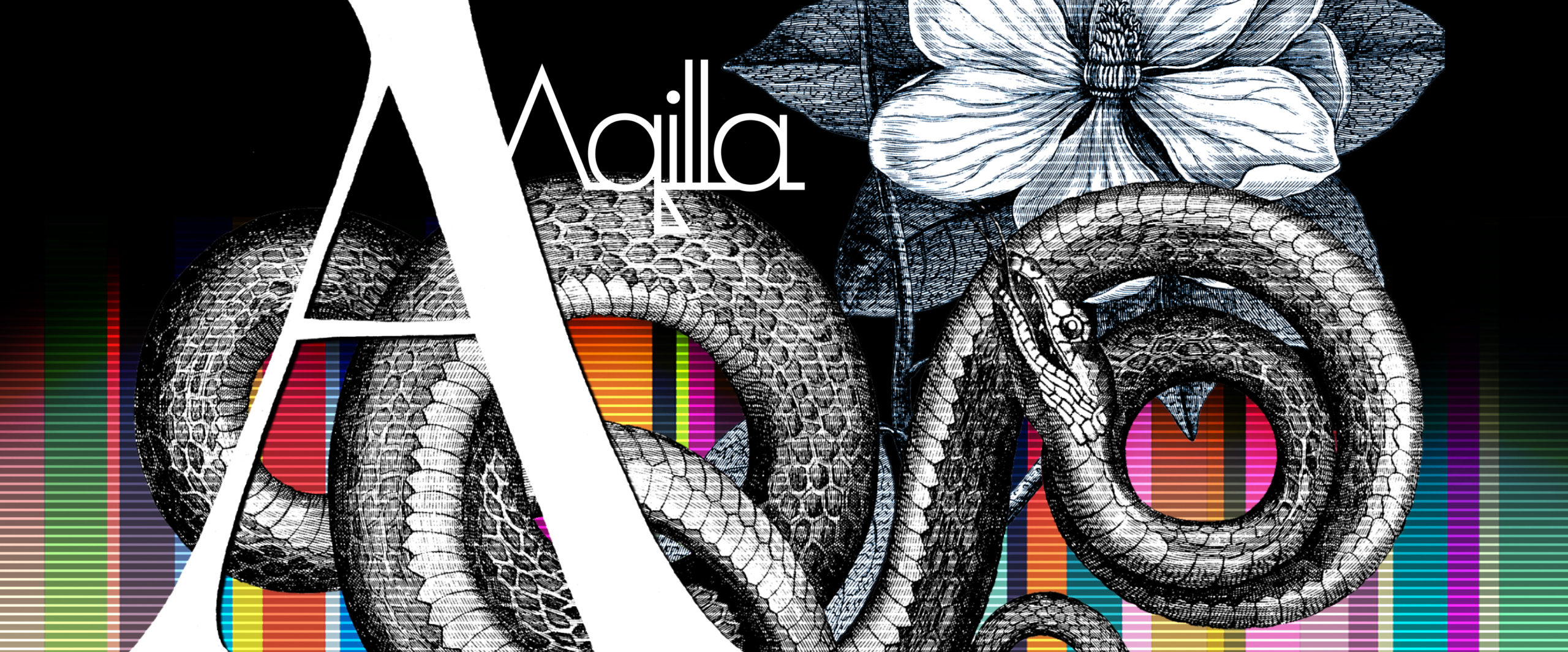 Aqilla official site